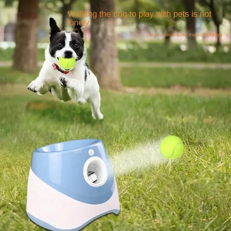 Automatischer Hundewurfautomat – Catapult Launcher Toy Bewertung und Preis