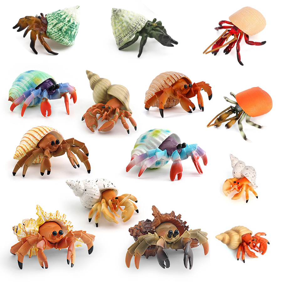 Realistische Hermitkrabben-Fig – Kids Toys 3 Year Old Bewertung und Preis